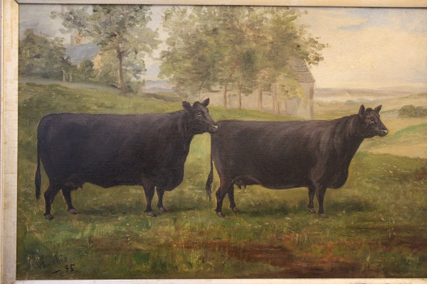 A Cow's Tale
