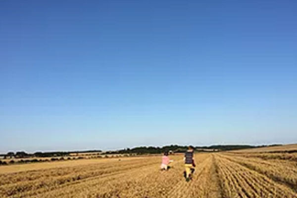 September 2017