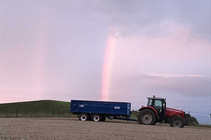A Pot of Gold