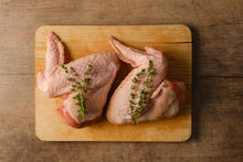 Load image into Gallery viewer, Bred to Be Cool Bronze Turkey Wings